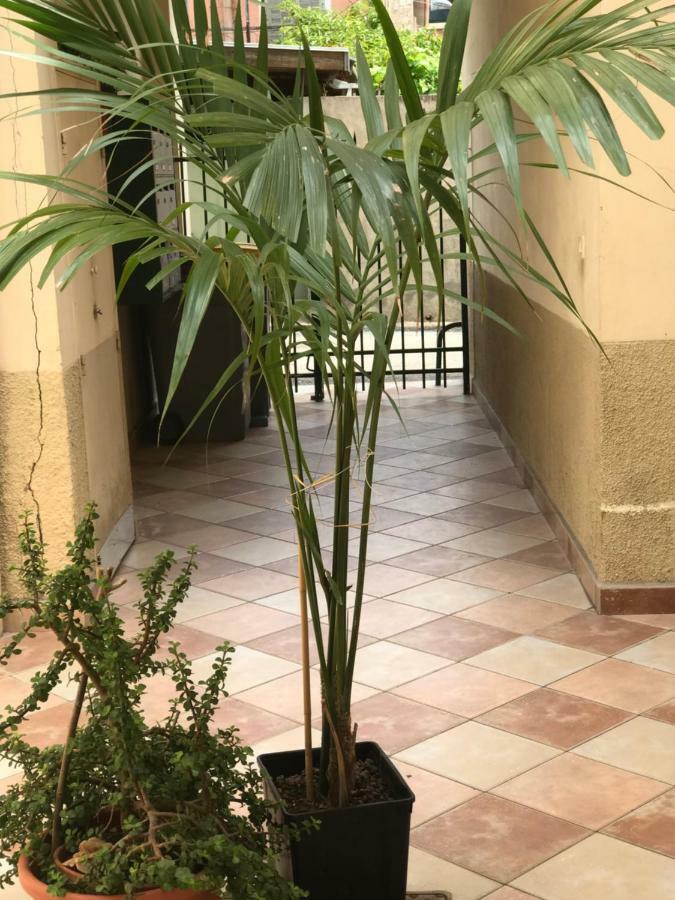 Apartamento Garden Carras Niza Exterior foto